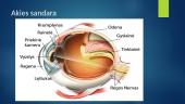 Akies optinės savybės (skaidrės) 2 puslapis