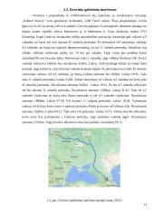 Logistikos procesų teisinis reglamentavimas vežant vyną maršrutu Gruzija - Lietuva 12 puslapis