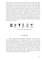 Logistikos procesų teisinis reglamentavimas vežant vyną maršrutu Gruzija - Lietuva 15 puslapis