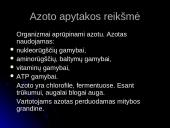 Azoto apytaka biosferoje (skaidrės) 3 puslapis