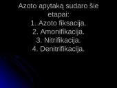 Azoto apytaka biosferoje (skaidrės) 4 puslapis