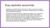 Organizmų prisitaikymas vykdyti dujų apykaitą (skaidrės) 10 puslapis