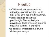 Miegligė skaidrės