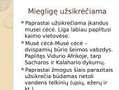 Miegligė skaidrės 2 puslapis