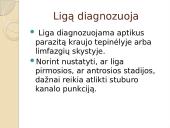 Miegligė skaidrės 4 puslapis