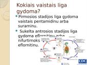 Miegligė skaidrės 6 puslapis