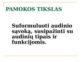 Daugialąsčio organizmo ląstelės 2 puslapis