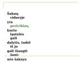 Daugialąsčio organizmo ląstelės 12 puslapis