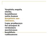 Daugialąsčio organizmo ląstelės 14 puslapis