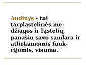 Daugialąsčio organizmo ląstelės 6 puslapis