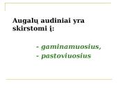 Daugialąsčio organizmo ląstelės 8 puslapis