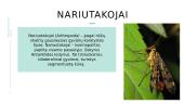 Kirmėlių, nariuotakojų reikšmė gamtoje ir žmogaus gyvenime 7 puslapis