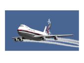 Didžiausios avia katastrofos 14 puslapis