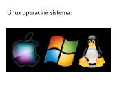 Šiuolaikinių kompiuterių programinė įranga 14 puslapis