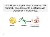 Virškinimas susijęs su fermentų veikla 2 puslapis