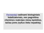 Virškinimas susijęs su fermentų veikla 3 puslapis