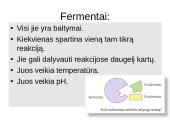 Virškinimas susijęs su fermentų veikla 4 puslapis