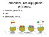 Virškinimas susijęs su fermentų veikla 7 puslapis