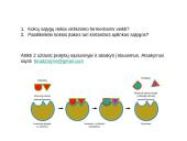Virškinimas susijęs su fermentų veikla 8 puslapis