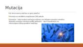 Mutacija skaidrės 2 puslapis