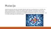 Mutacija skaidrės 3 puslapis