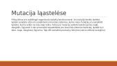 Mutacija skaidrės 5 puslapis