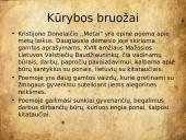 K. Donelaitis „Metai“ (skaidrės) 8 puslapis