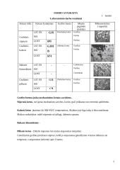 Ketaus mikrostruktūros tyrimas 2 puslapis