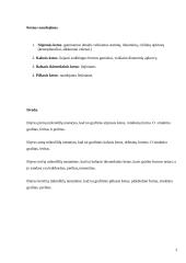 Ketaus mikrostruktūros tyrimas 3 puslapis