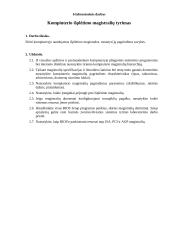 Kompiuterio išplėtimo magistralių tyrimas