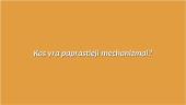 Paprastieji mechanizmai (pristatymas) 3 puslapis