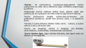 Paprastieji mechanizmai (pristatymas) 6 puslapis