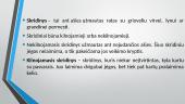 Paprastieji mechanizmai (pristatymas) 8 puslapis
