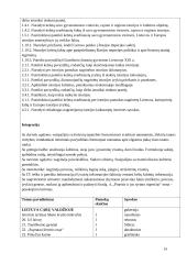 Istorijos teminis (ilgalaikis) planas 5 klasei 14 puslapis