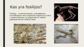 Skaidrės apie dinozaurus 3 puslapis