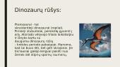 Skaidrės apie dinozaurus 6 puslapis