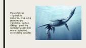 Skaidrės apie dinozaurus 7 puslapis