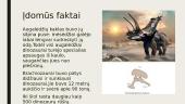 Skaidrės apie dinozaurus 9 puslapis
