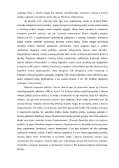 Europos sąjungos sausumos transporto politika: jos esmė ir ekonominis poveikis Lietuvai 11 puslapis