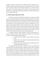 Europos sąjungos sausumos transporto politika: jos esmė ir ekonominis poveikis Lietuvai 13 puslapis