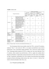 Europos sąjungos sausumos transporto politika: jos esmė ir ekonominis poveikis Lietuvai 16 puslapis