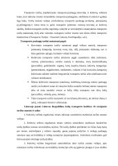 Europos sąjungos sausumos transporto politika: jos esmė ir ekonominis poveikis Lietuvai 17 puslapis