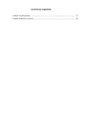 Europos sąjungos sausumos transporto politika: jos esmė ir ekonominis poveikis Lietuvai 2 puslapis