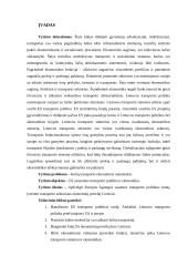 Europos sąjungos sausumos transporto politika: jos esmė ir ekonominis poveikis Lietuvai 4 puslapis