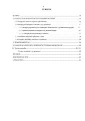 Paauglių konfliktų priežastys mokykloje