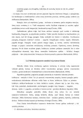 Paauglių konfliktų priežastys mokykloje 11 puslapis