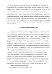 Paauglių konfliktų priežastys mokykloje 17 puslapis