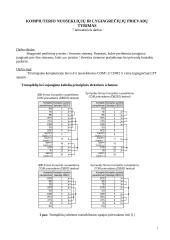 Kompiuterio nuosekliųjų ir lygiagrečiųjų prievadų tyrimas