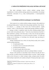 Sveikatos priežiūros paslaugų prieinamumas Lietuvoje 6 puslapis