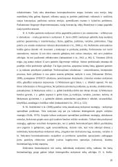 Efektyvus darbuotojų mokymasis profesionalumo tobulinimo perspektyvoje 17 puslapis
